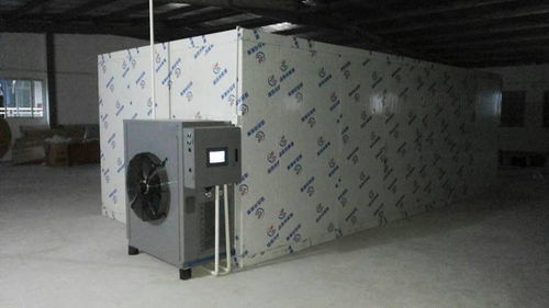 足干夠硬的魚膠烘干技術(shù)公開