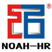 河北諾亞人力資源發展集團 專業人力資源服務的領航者